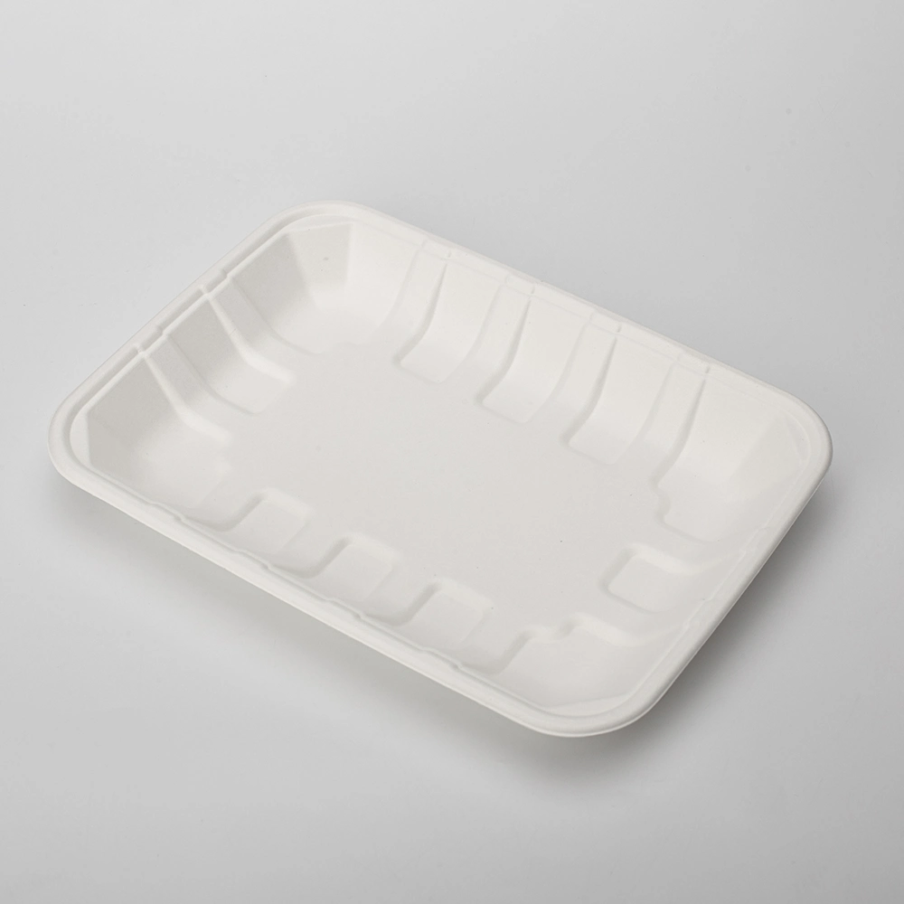 Biodegradable Food Tray Sugarcane Bagasse Paper Pulp Tableware Biodegradable Trays