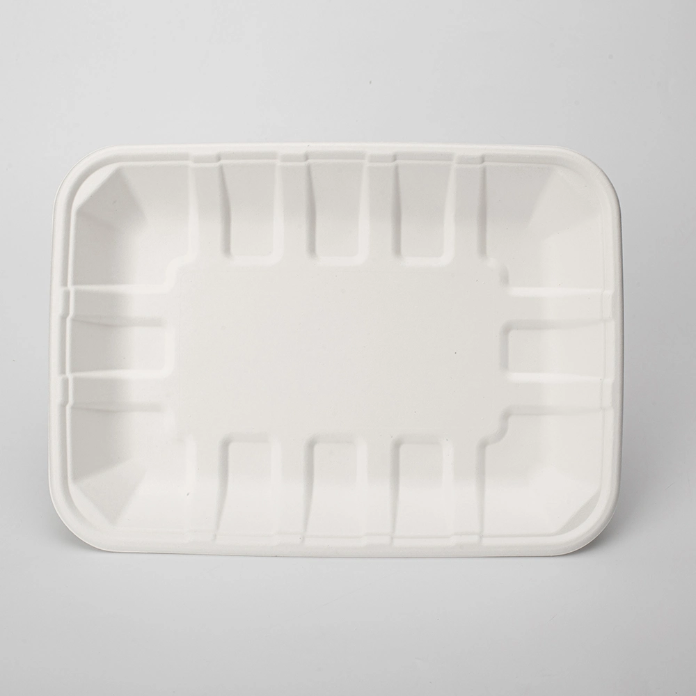 Biodegradable Food Tray Sugarcane Bagasse Paper Pulp Tableware Biodegradable Trays