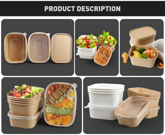 Herstellung einer biologisch abbaubaren Kraft-Lebensmittelpapierbox zum Mitnehmen für die Verpackung heißer Lebensmittel